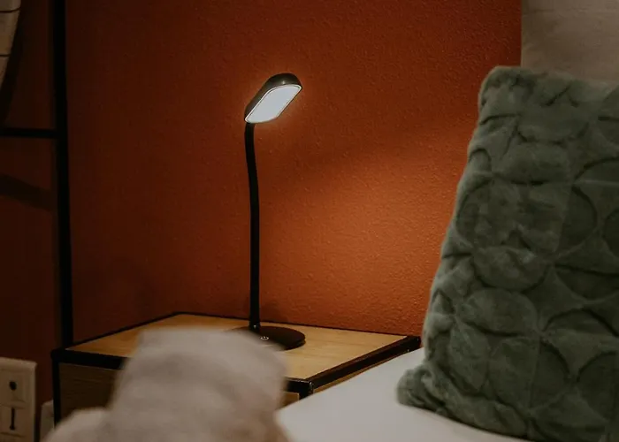 Apartment L'elehouse Terrasse A Riom